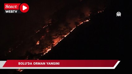Bolu'da orman yangını