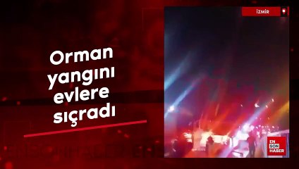 İzmir'de orman yangını evlere sıçradı