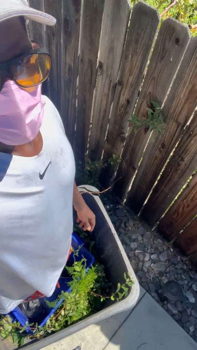 Back-a-Yard  At moms Obi (house)