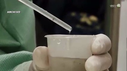 Jalisco registra 55 casos diarios de dengue en la última semana