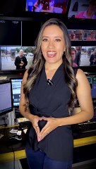 Estas son las 5 razones por las que es bueno tener un Gatito en casa