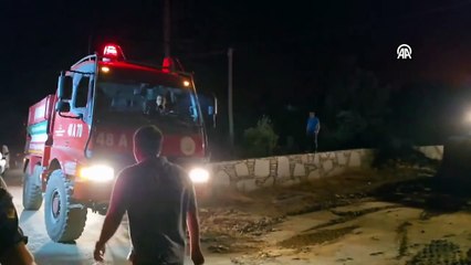 Aydın'da orman yangını büyüyor!