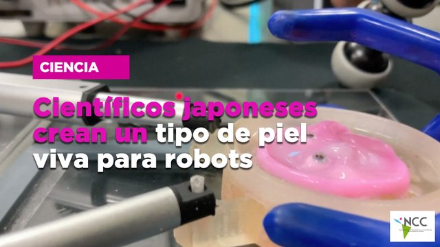 Científicos japoneses crean un tipo de piel viva para robots