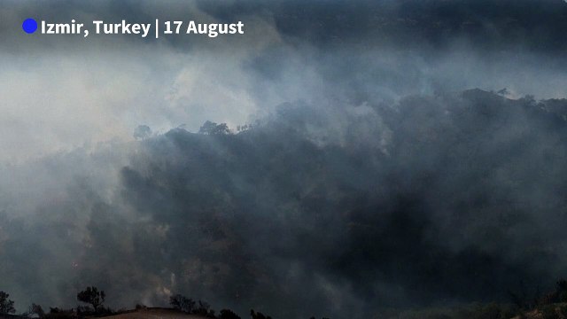 Smoke billows amid devastating forest fires in Turkey