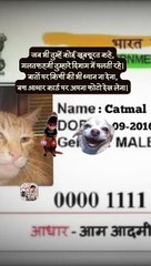 Photo Aadhar wala   #shorts #shortsfeed #aadharcard #trending #AmitKaviKumar