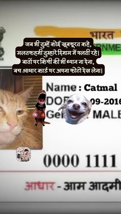 Photo Aadhar wala   #shorts #shortsfeed #aadharcard #trending #AmitKaviKumar