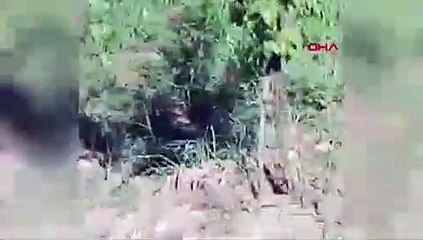 Muhtar tutuklandı, yerine kayyım atandı