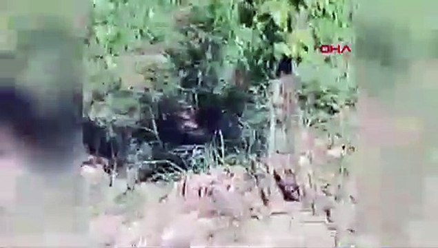 Muhtar tutuklandı, yerine kayyım atandı