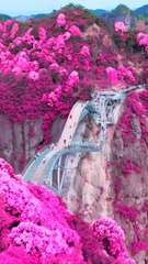Beautiful flowers picks | most beautiful places in world