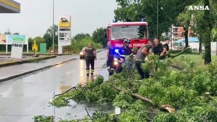 Tải video: Maltempo, nubifragio a Torino: caduti alberi e danneggiamenti