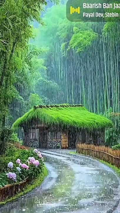 Rainy day