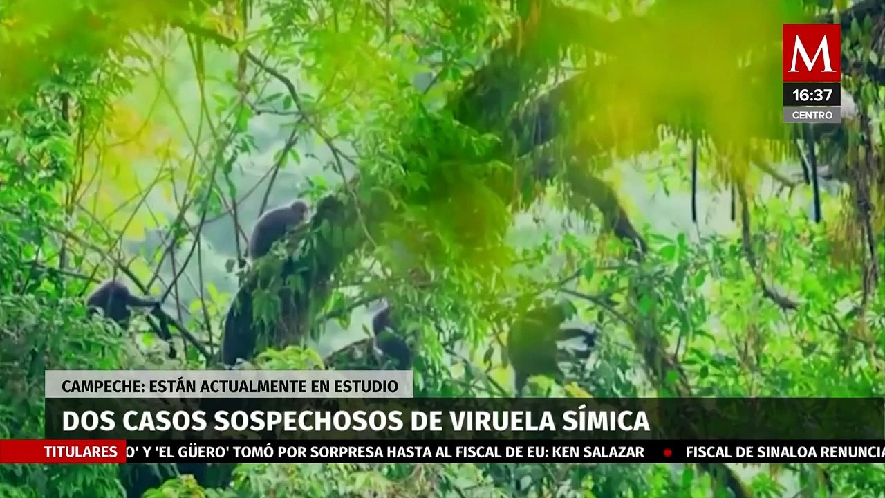 La Secretaría de Salud confirman dos casos sospechosos de mpox en Campeche