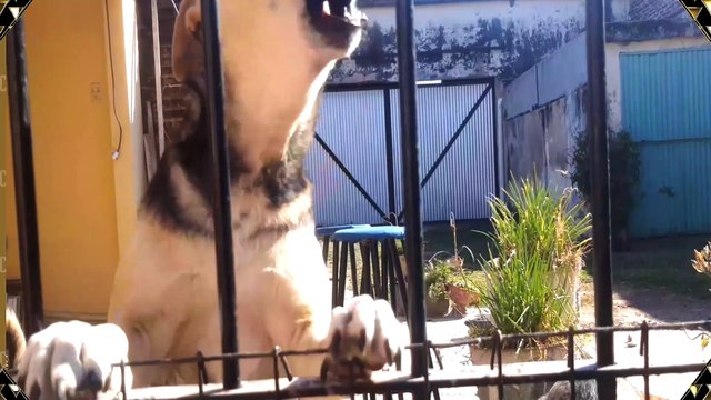 Entrevista Especial por el Aniversario de Tres Isletas, Chaco