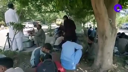 244d0824-5cf6-447d-b626-e4b043fe4260