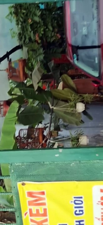 Chiếc xe của người khác ở chỗ kế bên trường Sammy