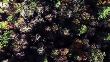 Ados tueurs : Le meurtre d'Alana Calahan