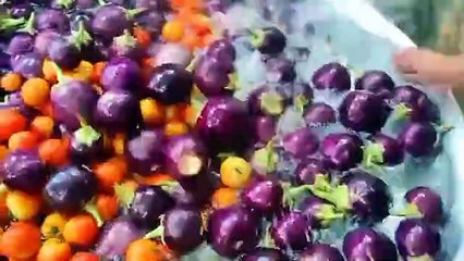 Making Vegetables Food