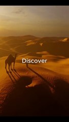 Best Places To Visit in Egypt