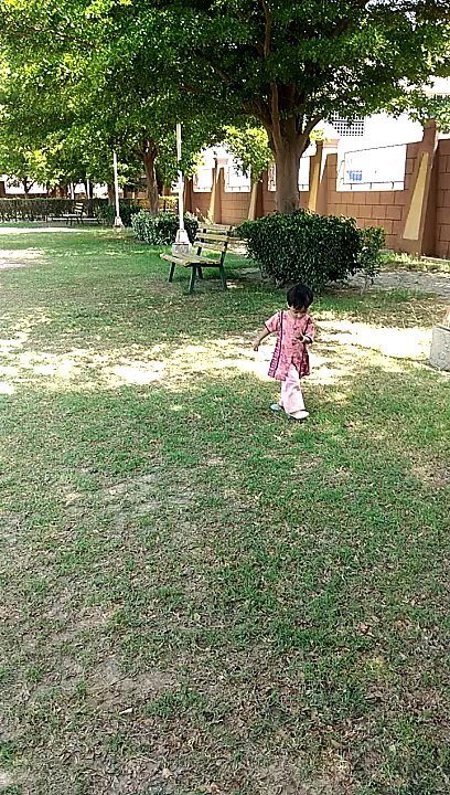 Park view
