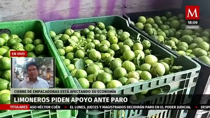 Continúa el cierre de las empacadoras de limón en Michoacán