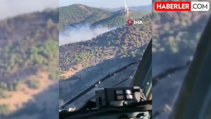 İzmir'deki orman yangınına havadan müdahale başladı