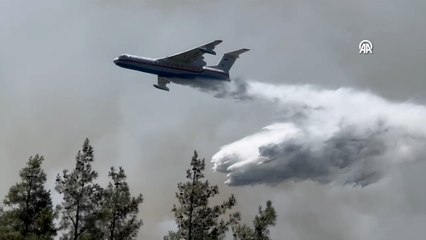 İzmir'de orman yangınını söndürme çalışmaları devam ediyor