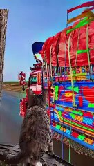 Funny music  and dancing video