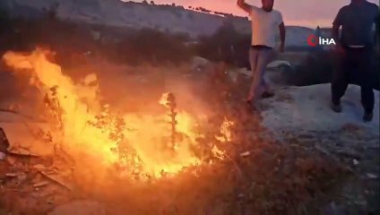 İzmir'de orman yangınlarına müdahale sürüyor!