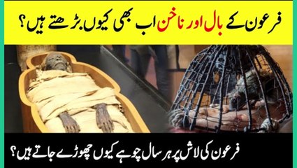 Is Pharaoh's Hair and Nails Still Growing. -- Unbe