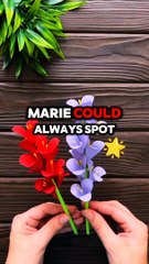 Identifying American Tourists..