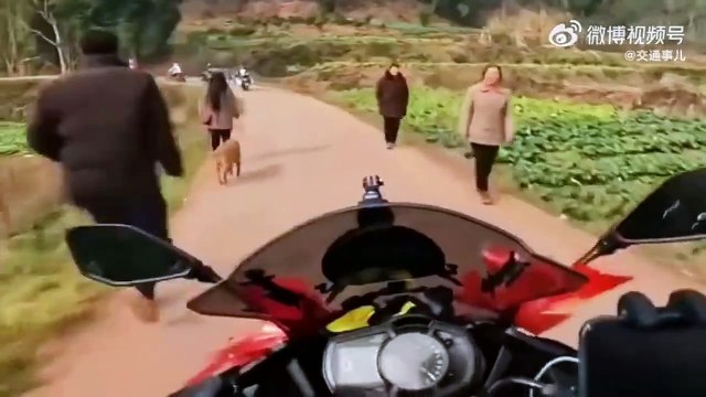 Ce motard a choisi le mauvais pied