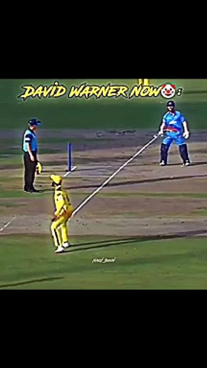 David Warner before