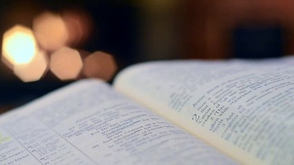 2268807-hd_1920_1080_24fps