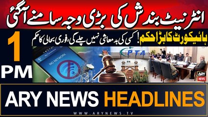 ARY News 1 PM Headlines | 17th August 2024 | Internet shutdown Case