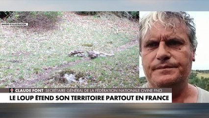 Claude Font : «La prédation s’étend sur une grande partie du territoire»