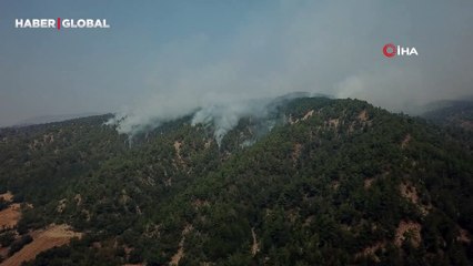 Bolu'da Göynük'te yanan alan böyle görüntülendi