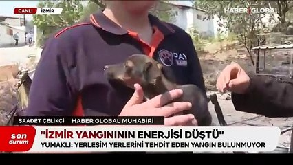 İzmir'deki yangından kurtarılan yavru köpeğin korkudan titrediği anlar yürekleri yaktı