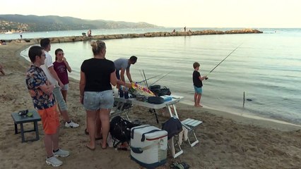 Crash d'un avion au Lavandou: réactions de plaisanciers