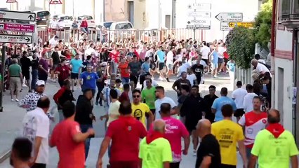 Tercer encierro rápido y limpio en Peñafiel