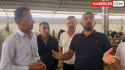 CHP Genel Başkan Yardımcısı Erhan Adem: Süt üreticileri zor durumda
