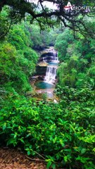 Wander where the Wi-Fi is weak, and the nature is strong. ✨ | AeronFly | Make Your Safar Suhana