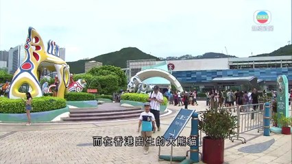 tin tức về cặp song sinh gấu con uống sửa.x ‐ Được tạo bằng Clipchamp