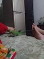 My parrot loves toe dancing...