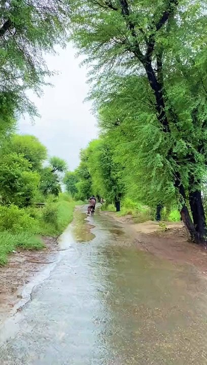 Natural beauty of Pakistan Sindh