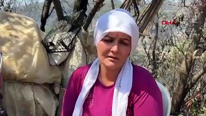 Aydın'daki orman yangınında 2'nci gün