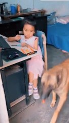 _fyp _viral _dog _doge _unfrezzmyaccount _unitedkingdom(MP4)