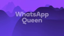 WhatsApp Queen / Подключение и настройка