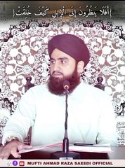 اللہ تعالی کی قدرت کی شان کیا ہے اس ویڈیو میں دیکھیں