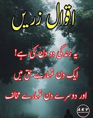 Aqwal e zareen _ Aqwal e zareen urdu _ islamic quotes #shorts