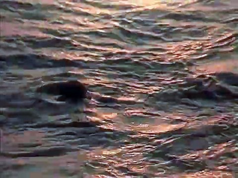 Волны Черного моря 2 серия.